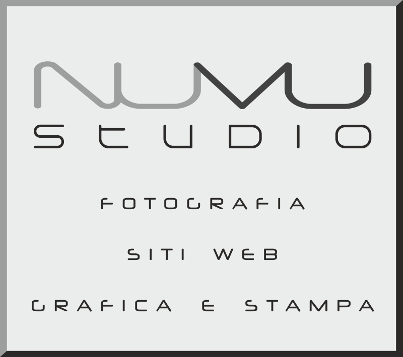 NuVu Studio